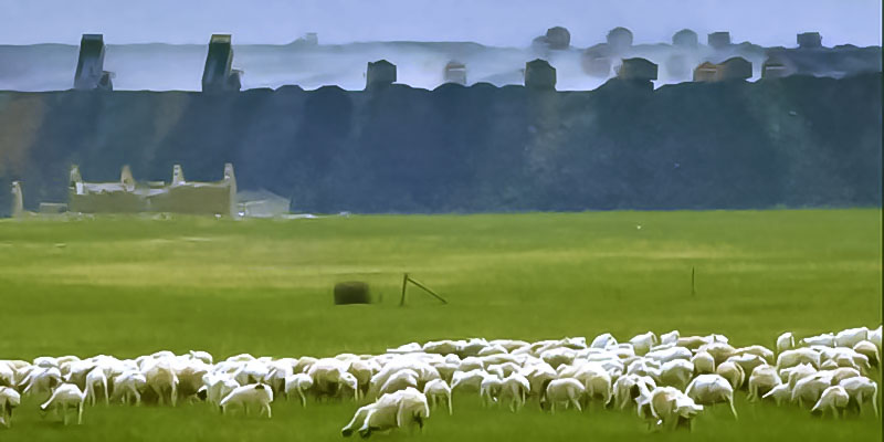 誰が故郷を奪っているのか？